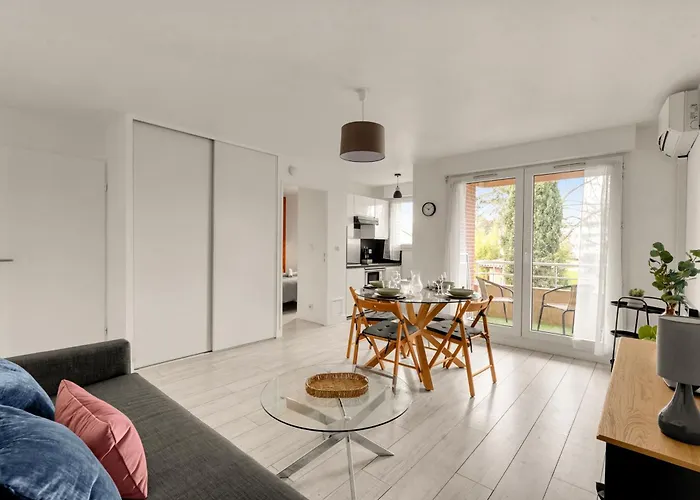 La Petite Muse - Climatisation, Piscine Et Parking Gratuit Toulouse